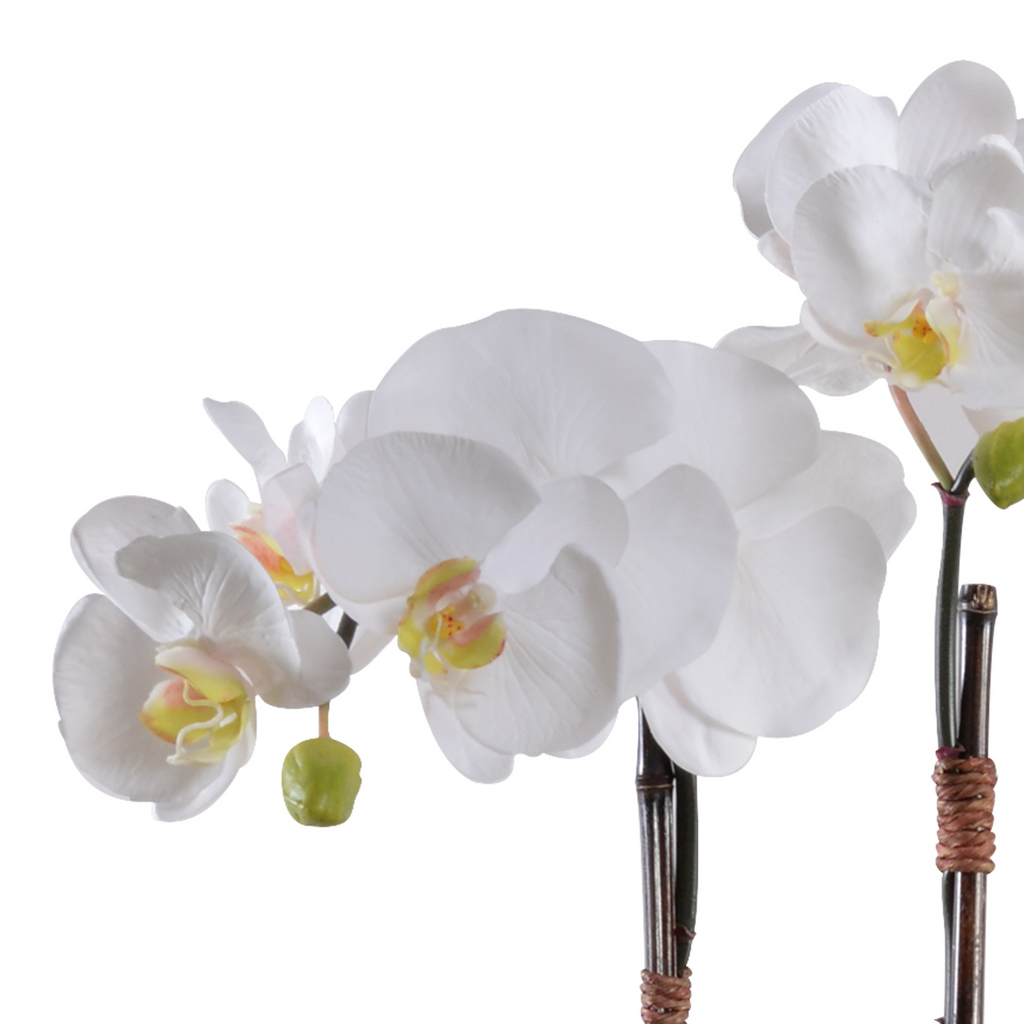 30" Faux White Phalaenopsis Orchid x2 in Terracotta - The Well Appointed House