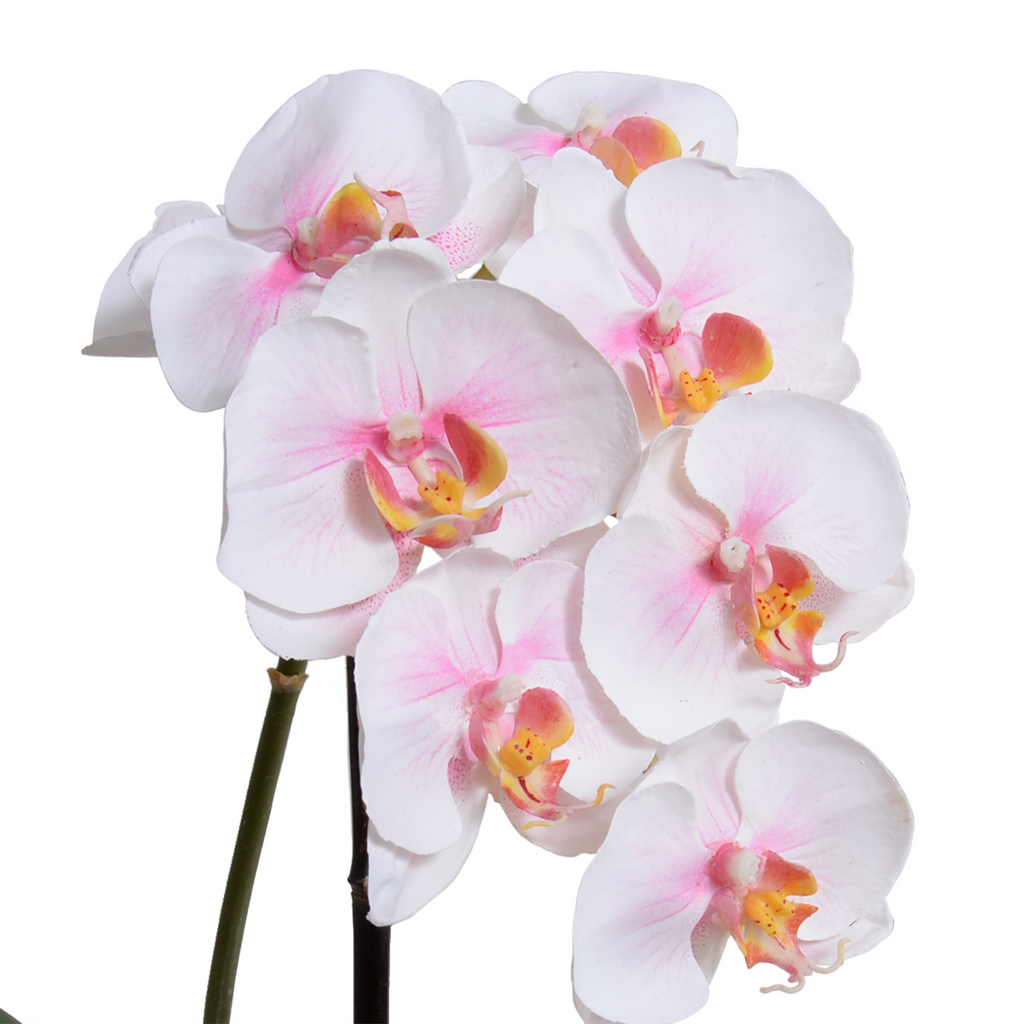 16" Faux Phalaenopsis Orchid x1 in Terracotta - The Well Appointed House