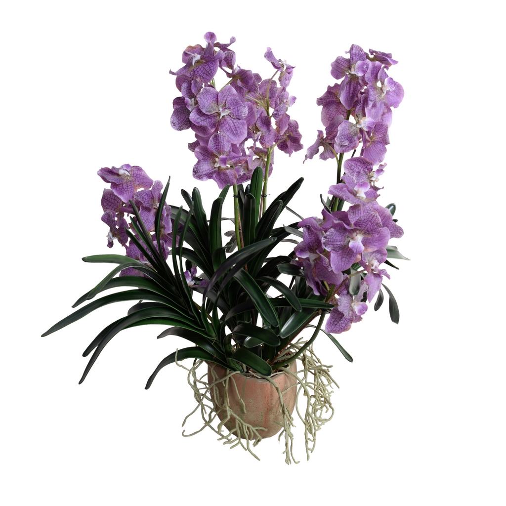 29" Faux Vanda Orchid in Terracottta - The Well Appointed House