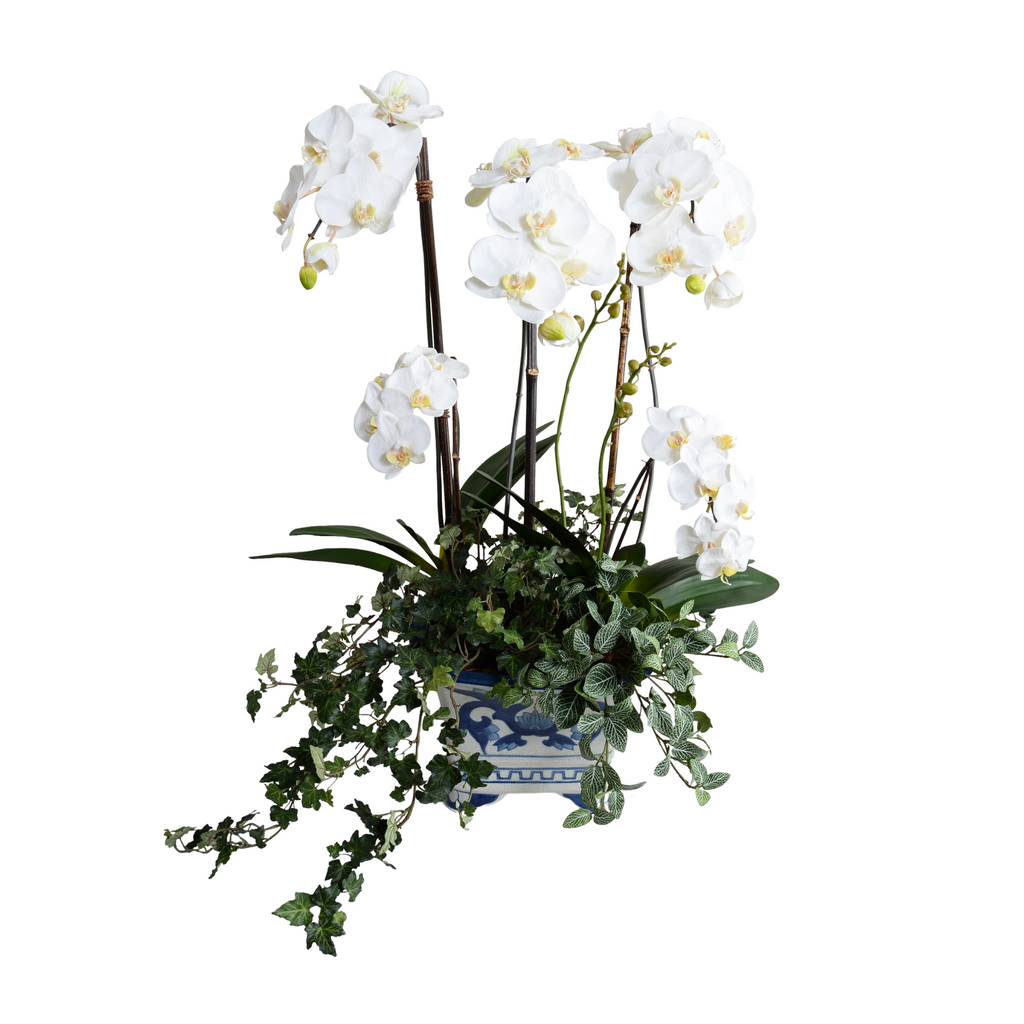 34" Faux Phalaenopsis Orchid w/Vines in Blue & White Vase - The Well Appointed House