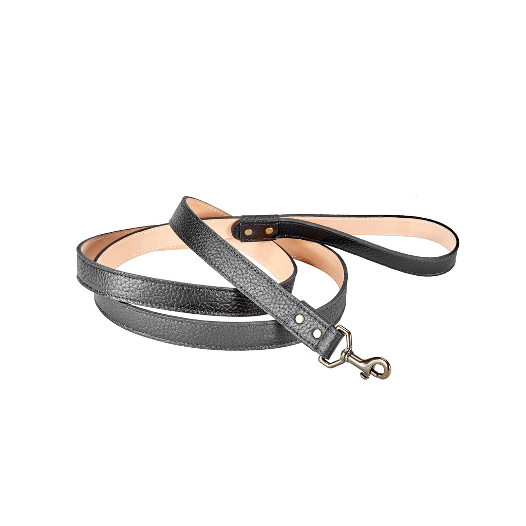 Dog Leash in Pebble Grain Leather - The Well Appointed House