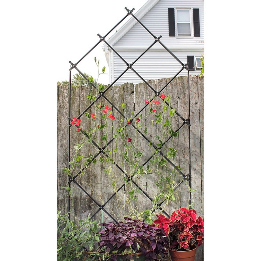 Free-standing Lattice Garden Trellis - The Well Appointed House