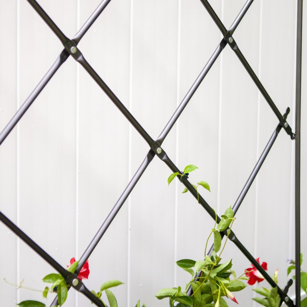 Free-standing Lattice Garden Trellis - The Well Appointed House