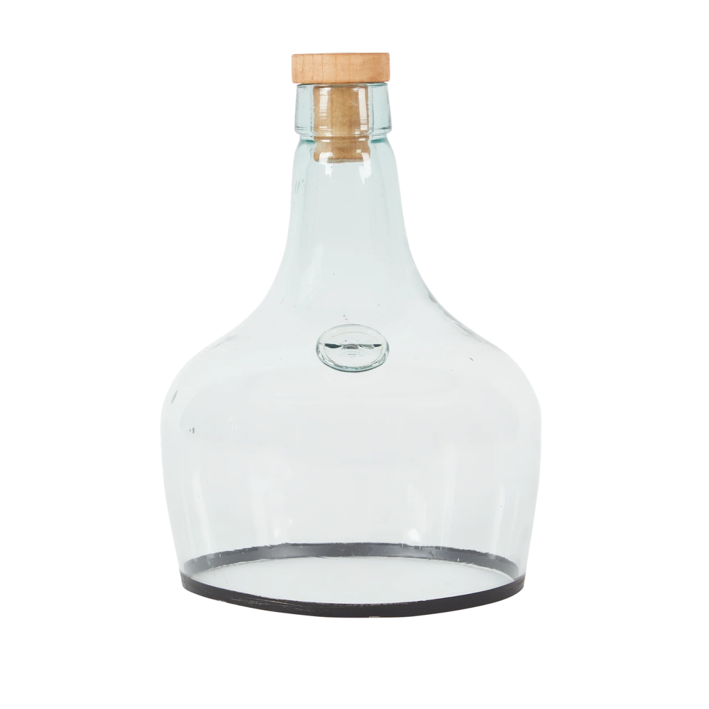 Small Demijohn Cloche - The Well Appointed House