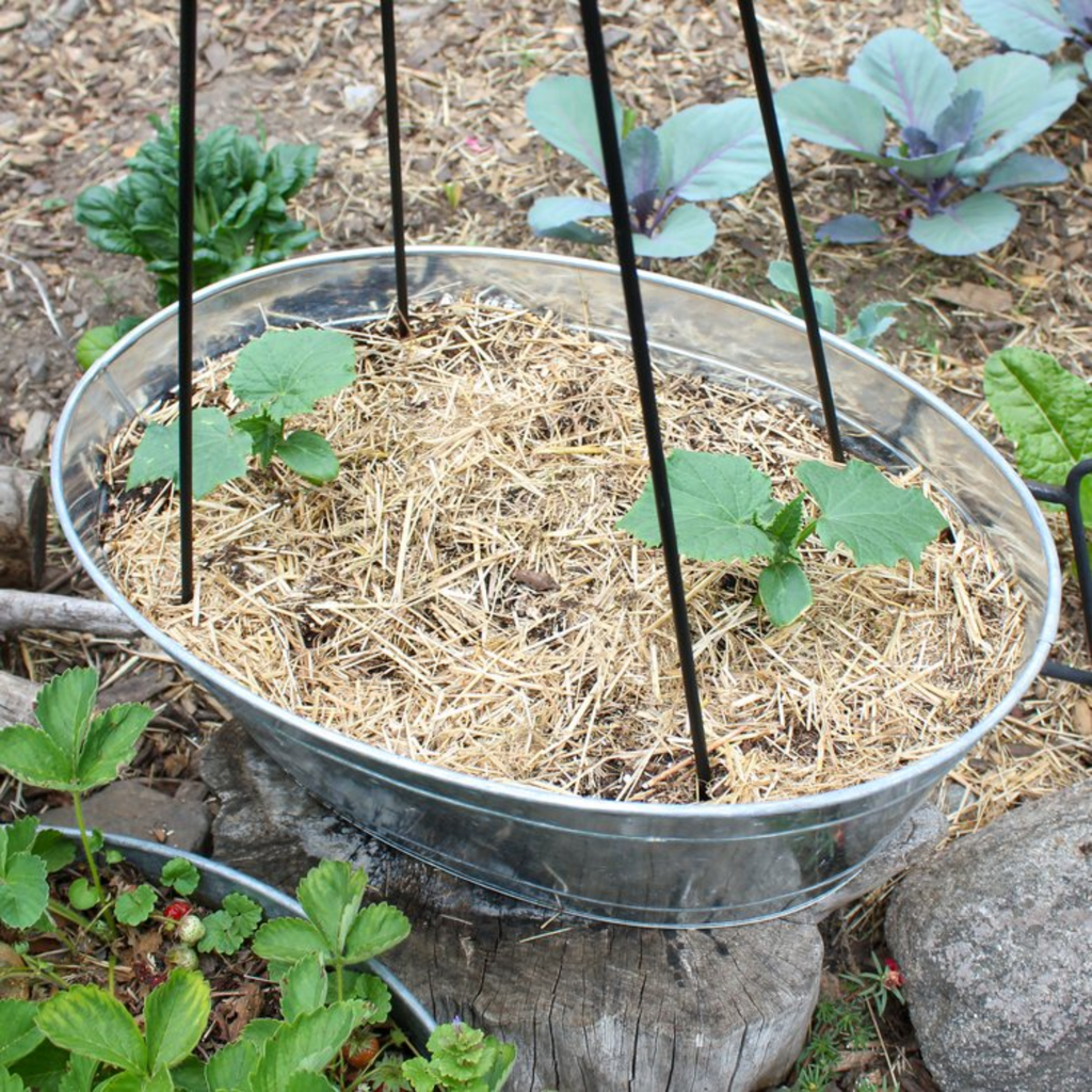 Set of Two Container Trellises - The Well Appointed House