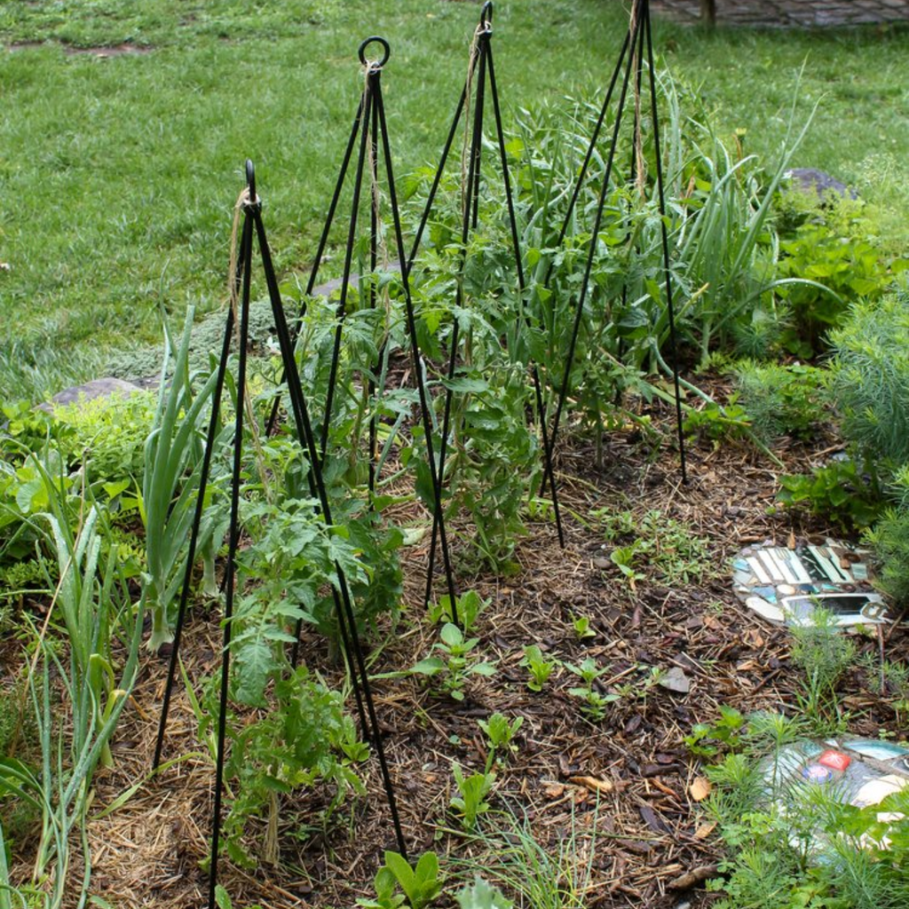 Set of Two Container Trellises - The Well Appointed House