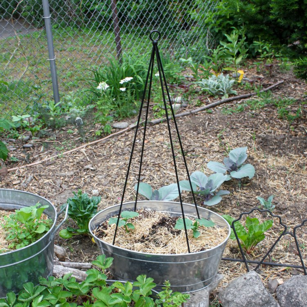 Set of Two Container Trellises - The Well Appointed House