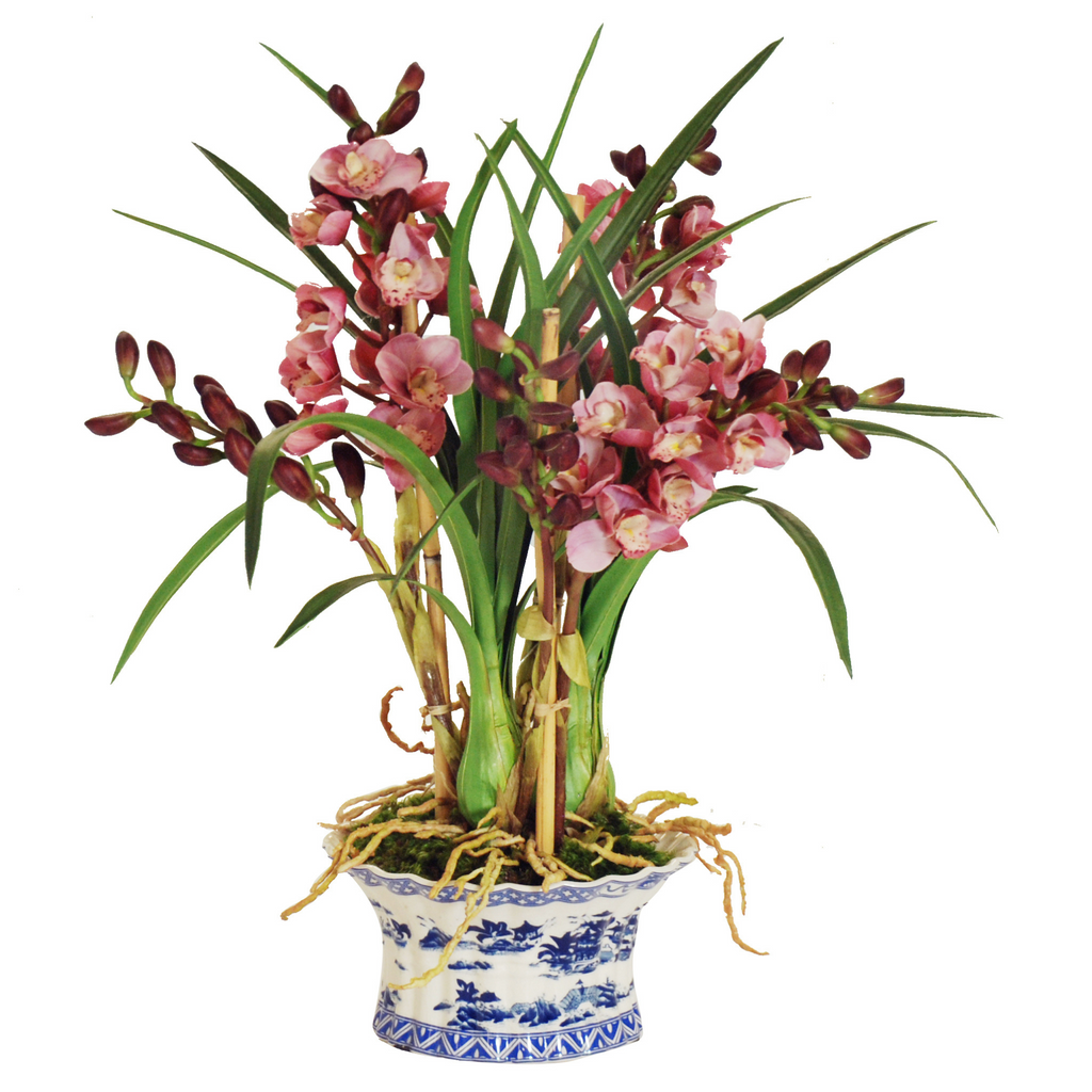 Cymbidium Pink Orchid in Oval Planter - The Well Appointed House 