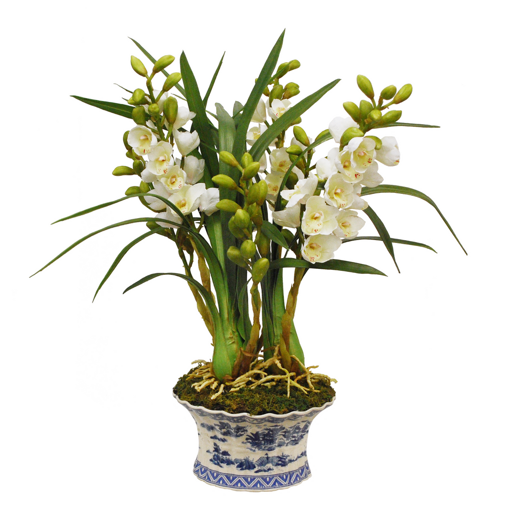 Cymbidium White Orchid in Oval Planter - The Well Appointed House 