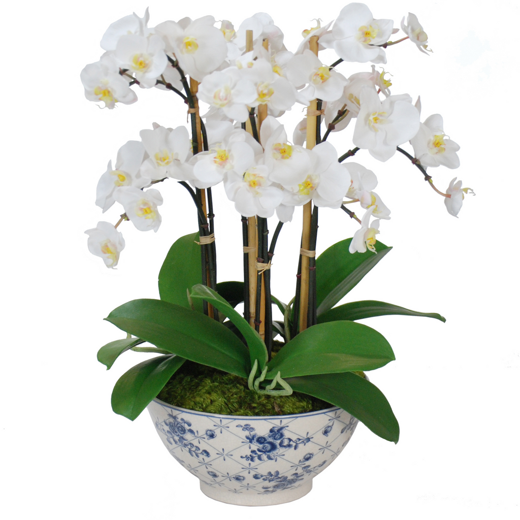 Orchid Arrangement in Rose Trellis Bowl - The Well Appointed House 