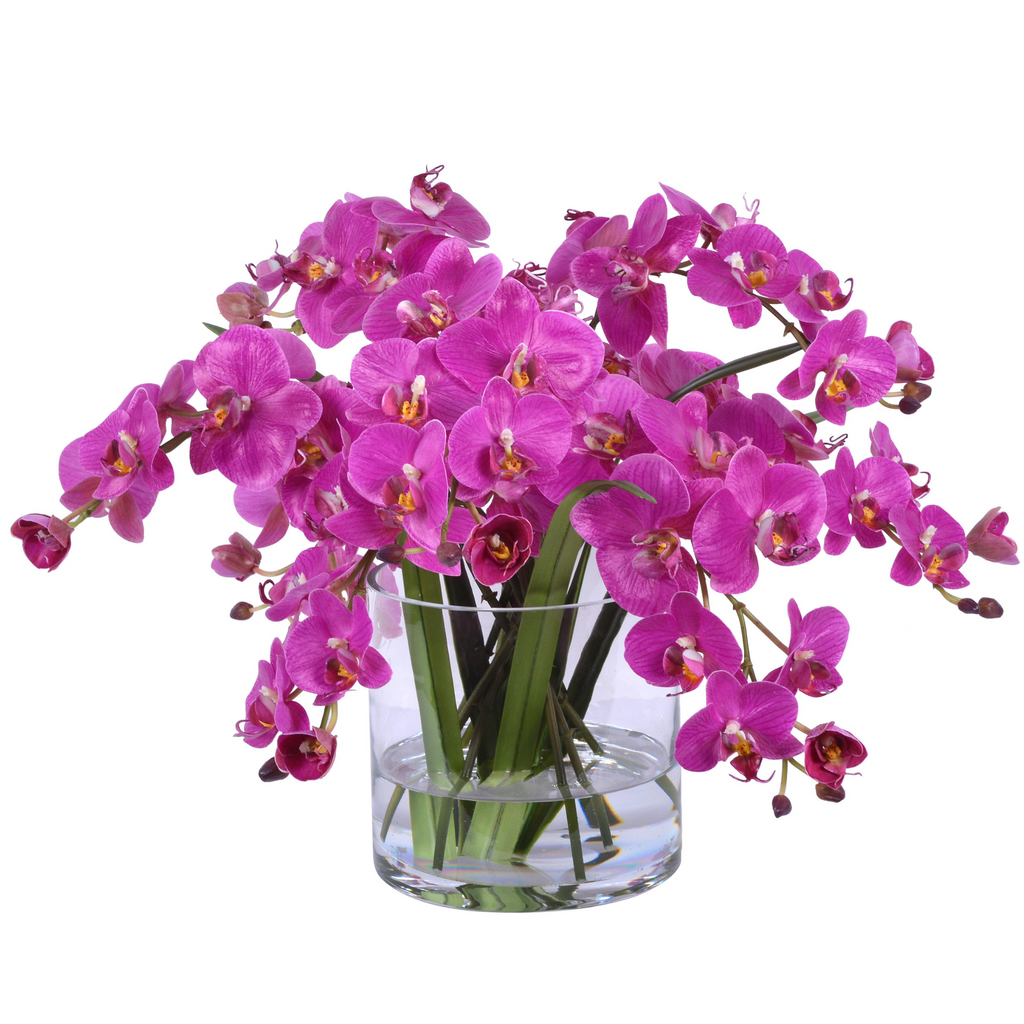 Phalaenopsis Orchid Arrangement in Clear Glass Container - The Well Appointed House 