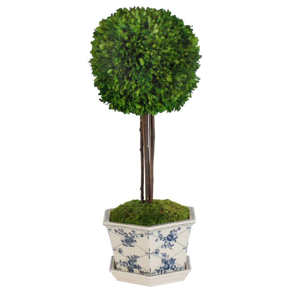 Preserved Boxwood Ball in Blue and White Cachepot - The Well Appointed House 