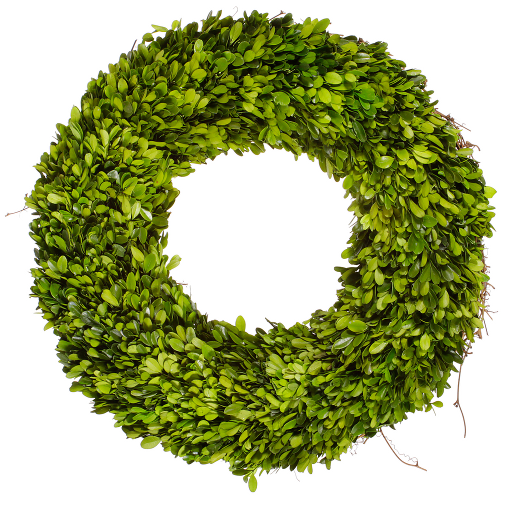 Preserved Boxwood Wreath 20" - The Well Appointed House 