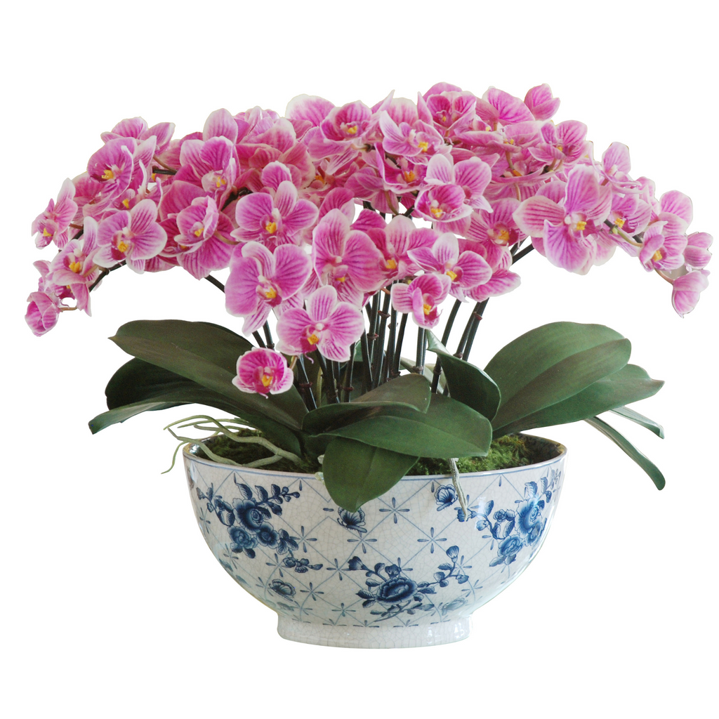 Small Pink Orchid in Rose Trellis Bowl - The Well Appointed House 