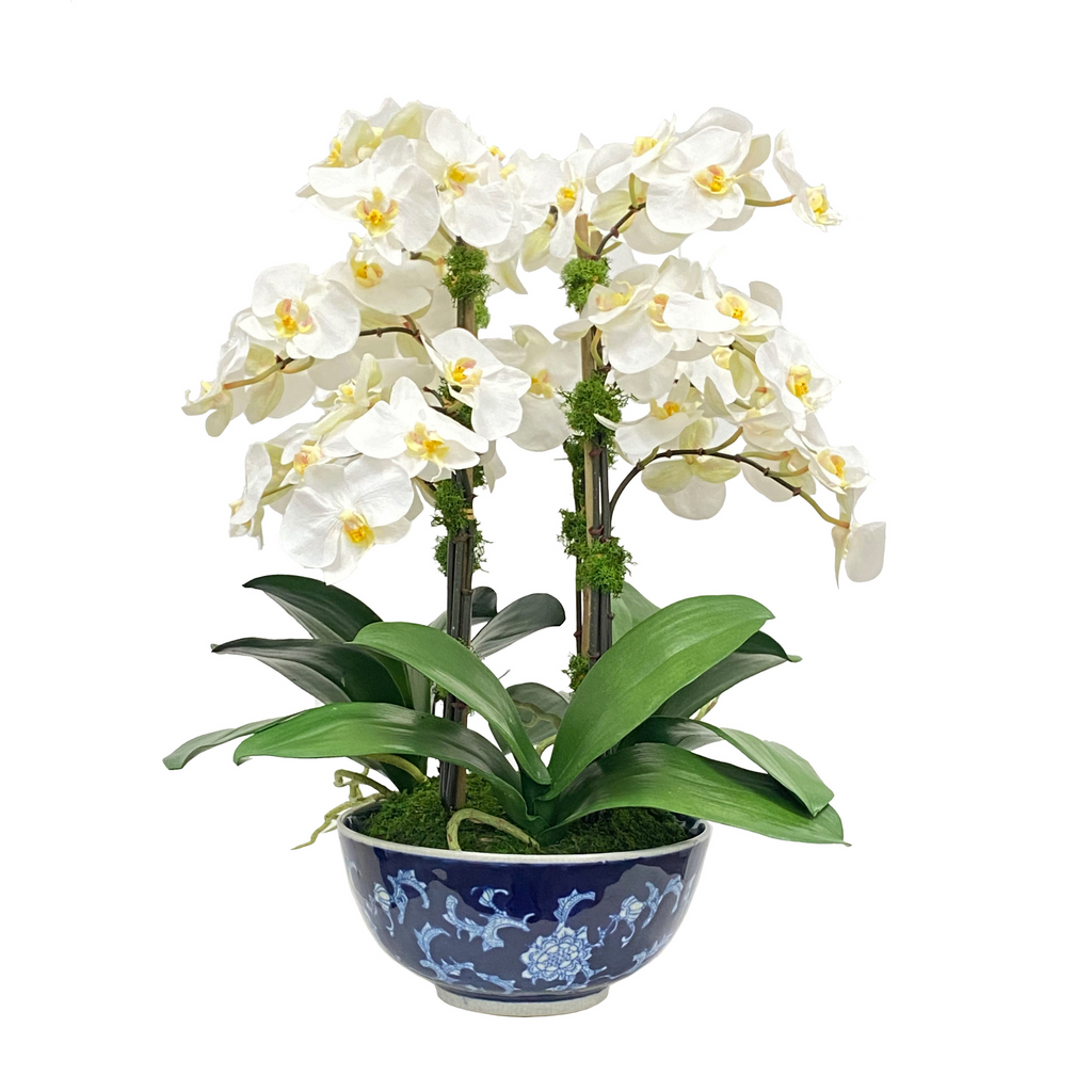 Small White Orchid in Ceramic Bowl - The Well Appointed House 