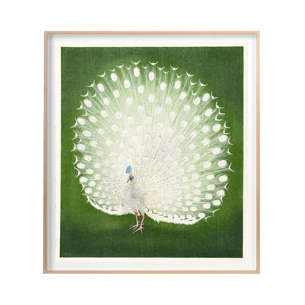 White Peacock on Green Framed Wall Art – The Well Appointed House